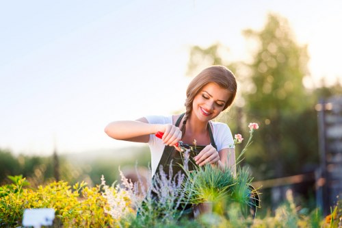 Eco-friendly lawn care practices