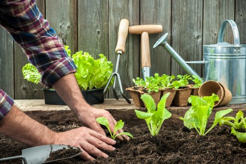 Professional garden maintenance team at work