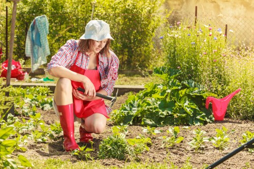 Landscaper preparing to trim a hedge in an urban garden