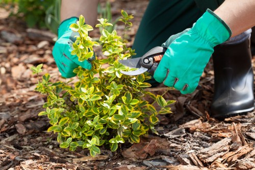 Sustainable gardening practices in Covent Garden
