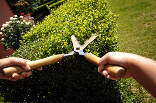 Garden clearance tools and equipment used by professionals