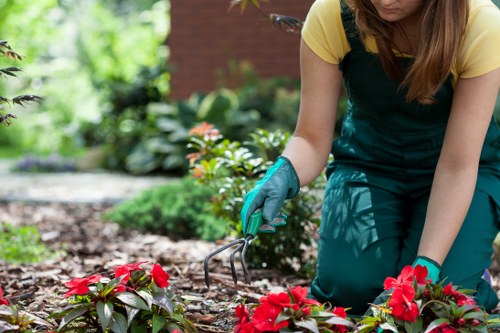Expert hedge trimming enhancing Covent Garden property