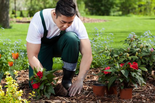 Seasonal hedge maintenance in Covent Garden