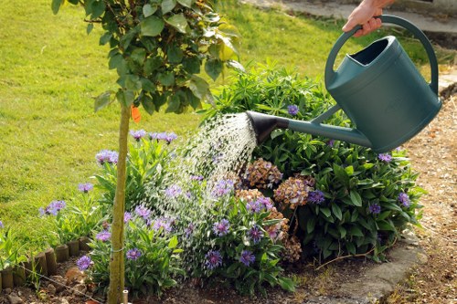 Close-up of pruned hedging and clipped trimmings in refuse sacks